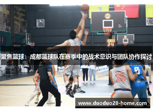 聚焦篮球：成都篮球队在赛季中的战术意识与团队协作探讨