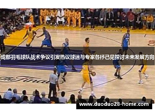 成都羽毛球队战术争议引发热议球迷与专家各抒己见探讨未来发展方向