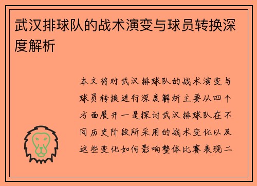 武汉排球队的战术演变与球员转换深度解析